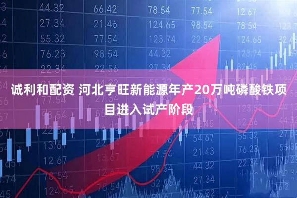 诚利和配资 河北亨旺新能源年产20万吨磷酸铁项目进入试产阶段