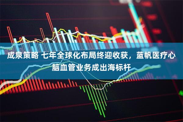 成泉策略 七年全球化布局终迎收获，蓝帆医疗心脑血管业务成出海标杆